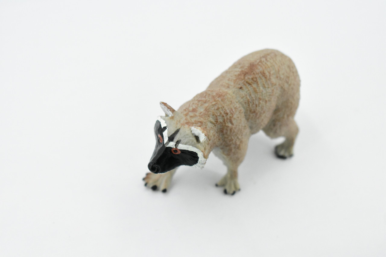 Raccoon, Racoon, Trash panda, Museum Quality, Hand Painted, Rubber Mammal, Realistic Toy Figure, Replica, Kids, Educational, 4 Inches.