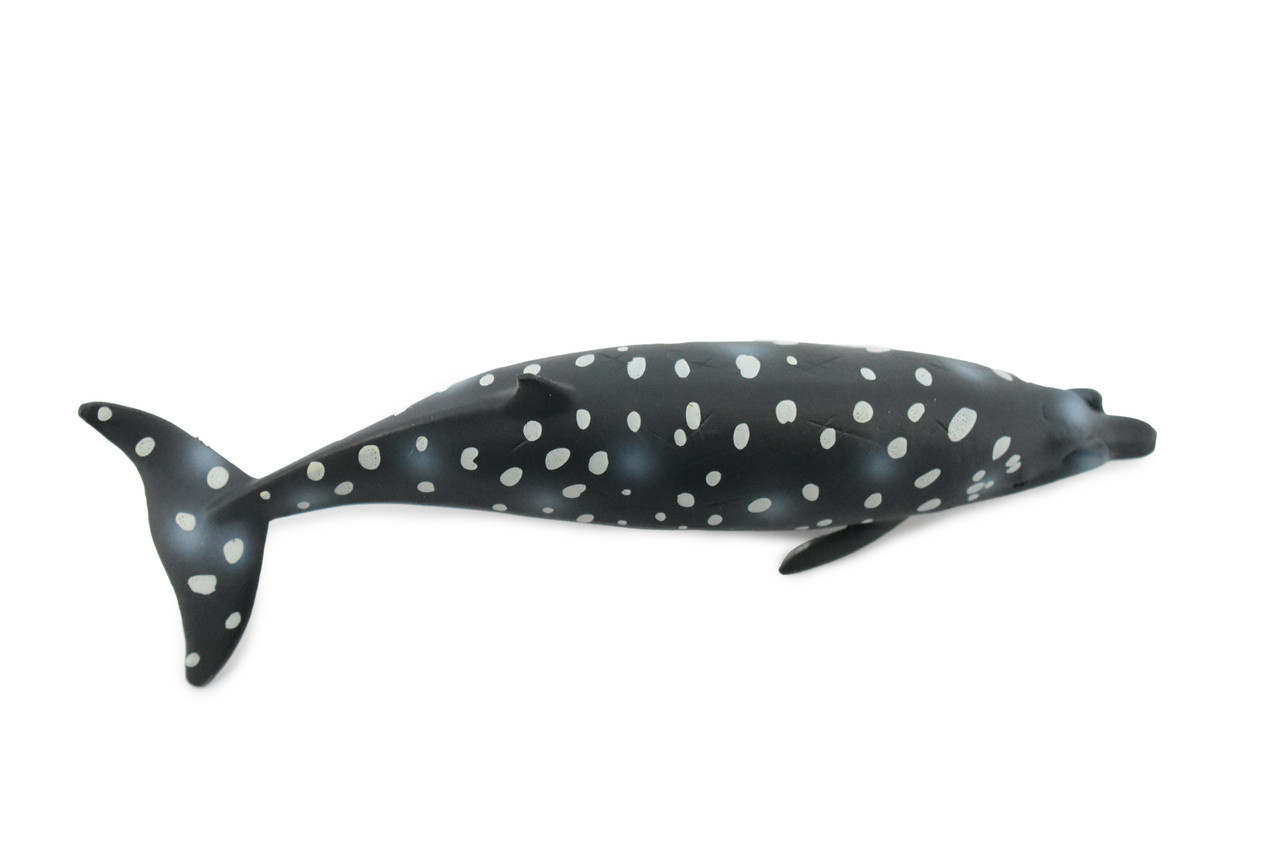 Blainville's Beaked Whale, Marine Mammal, Museum Quality, Hand Painted, Educational, Rubber Animal, Realistic Toy Figure, Diorama Model, Kids, 7 Inches. 