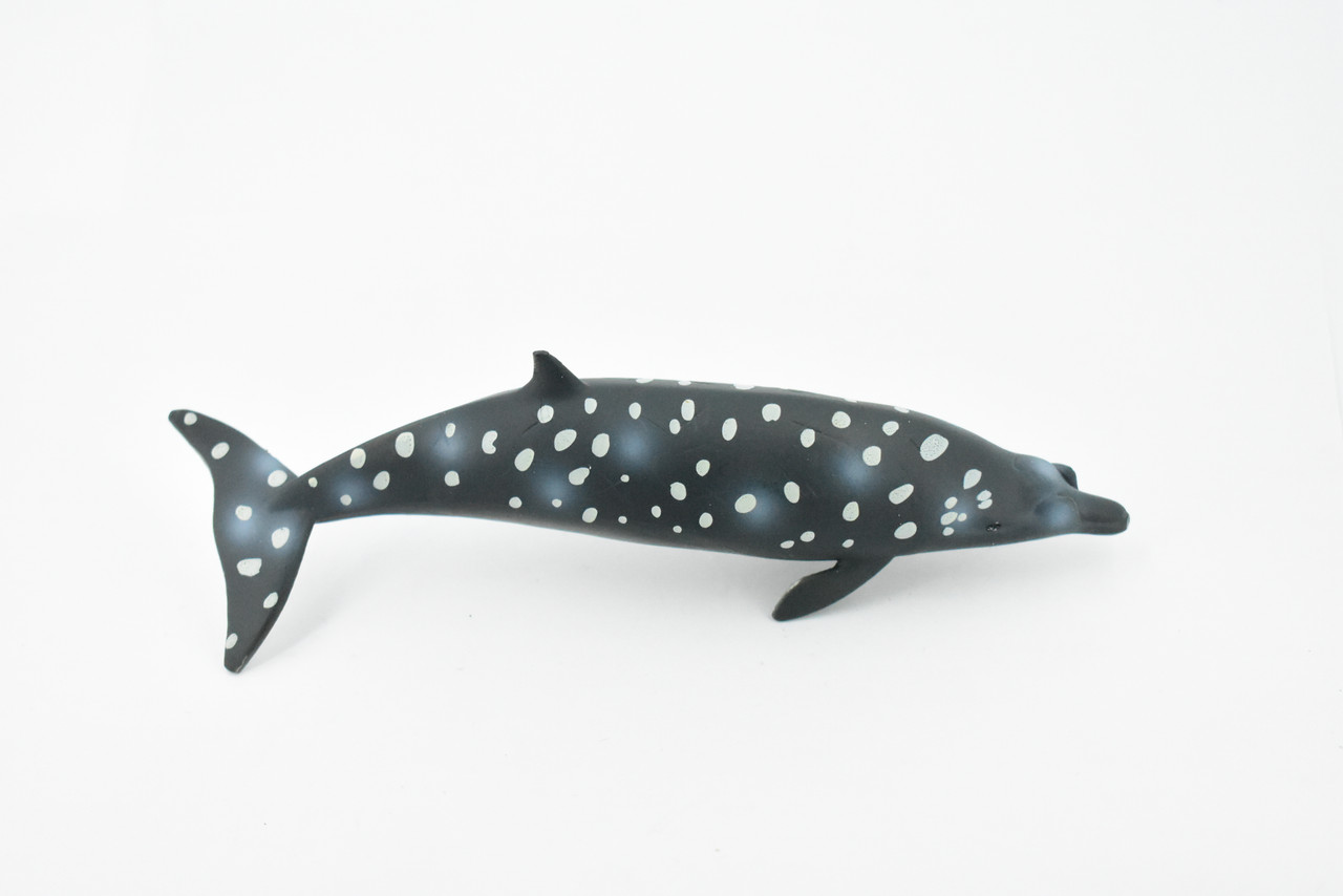 Blainville's Beaked Whale, Marine Mammal, Museum Quality, Hand Painted, Educational, Rubber Animal, Realistic Toy Figure, Diorama Model, Kids, 7 Inches. 