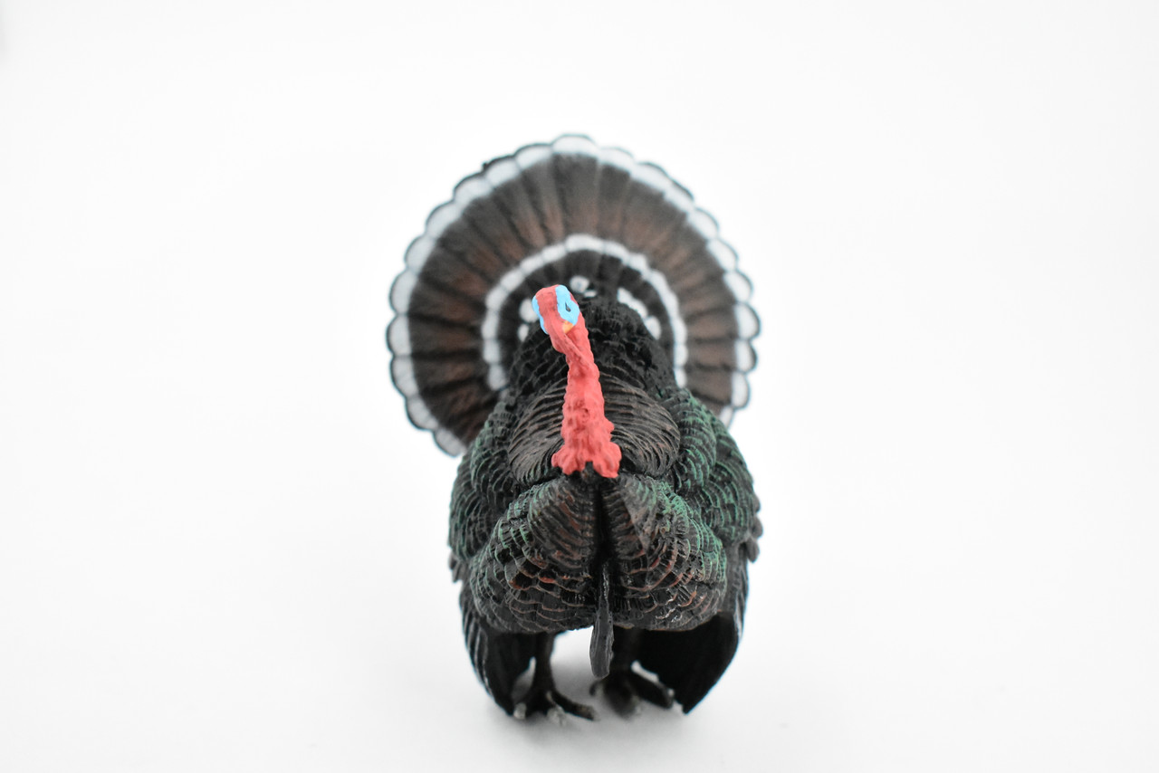 Bird, Turkey. Museum Quality, Hand Painted, Rubber, Realistic Toy Figure, Model, Replica, Kids, Educational, Gift,       3 1/2"     CH340 BB134