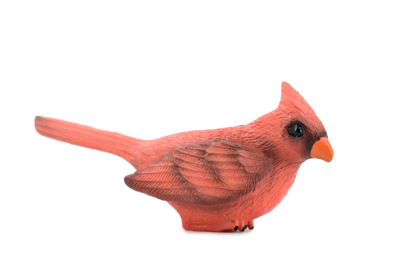 Bird, Northern Cardinal,  Museum Quality, Hand Painted, Rubber, Realistic Toy Figure, Model, Replica, Kids, Educational, Gift,       5"     CH342 BB134