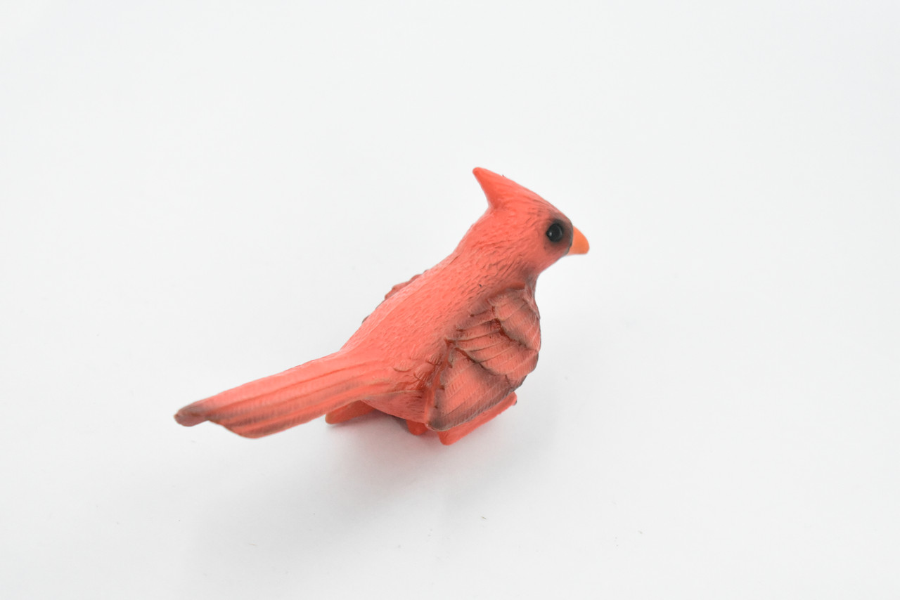 Bird, Northern Cardinal,  Museum Quality, Hand Painted, Rubber, Realistic Toy Figure, Model, Replica, Kids, Educational, Gift,       5"     CH342 BB134