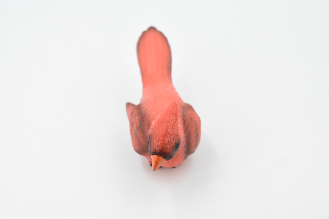 Bird, Northern Cardinal,  Museum Quality, Hand Painted, Rubber, Realistic Toy Figure, Model, Replica, Kids, Educational, Gift,       5"     CH342 BB134
