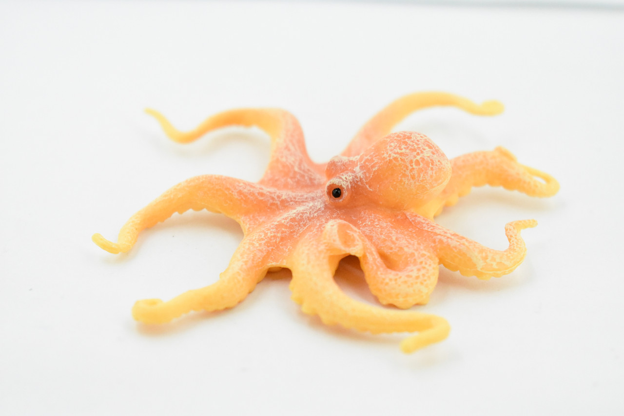 Octopus, Octopodes, Octopoda, Octopi, Ocean, Hand Painted, Rubber Realistic Toy Figure, Model, Replica, Kids, Educational, Gift,    3 1/2"    CH344 BB134