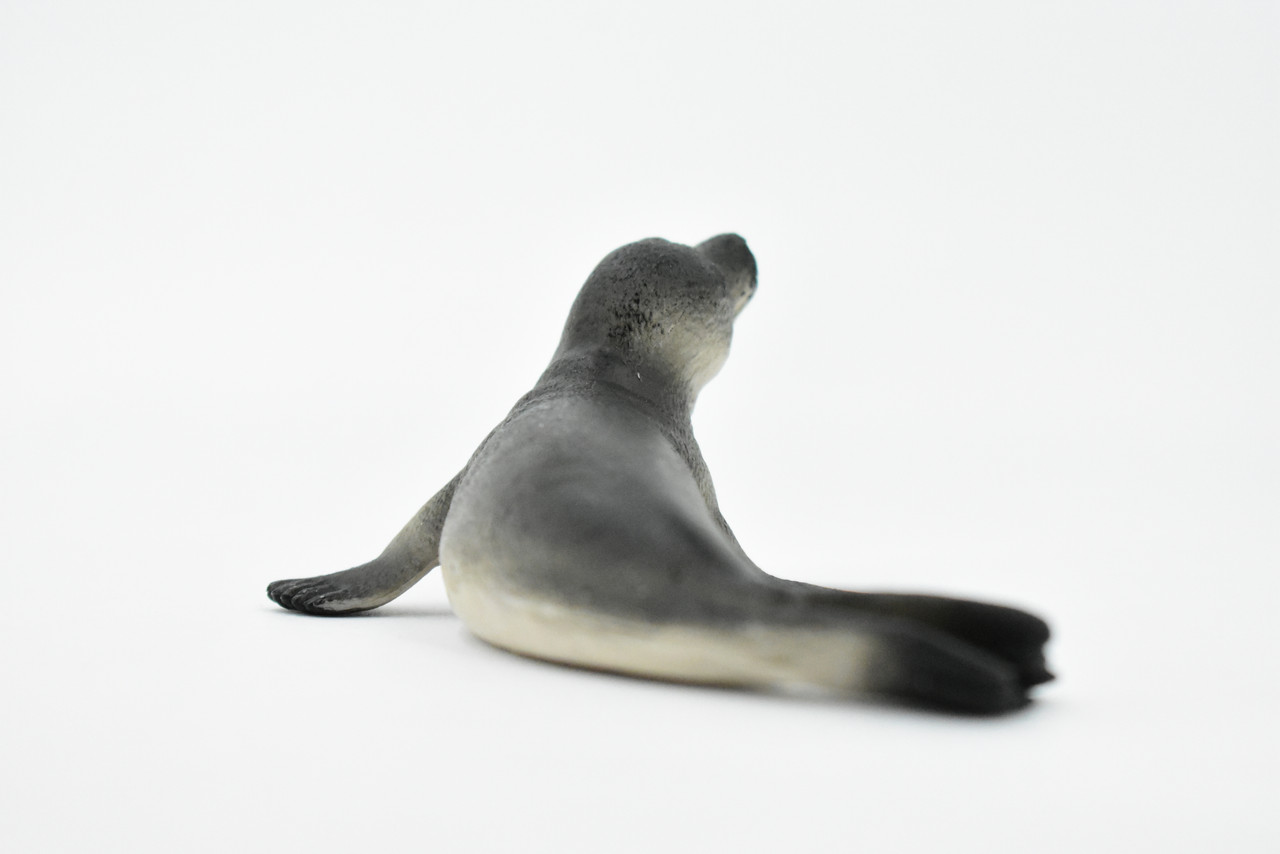 Fur Seal, Pinnipeds, Marine Mammal, Museum Quality, Hand Painted, Educational, Rubber Fish, Diorama Model, Replica, Realistic Toy Figure, Kids,  4 Inches.