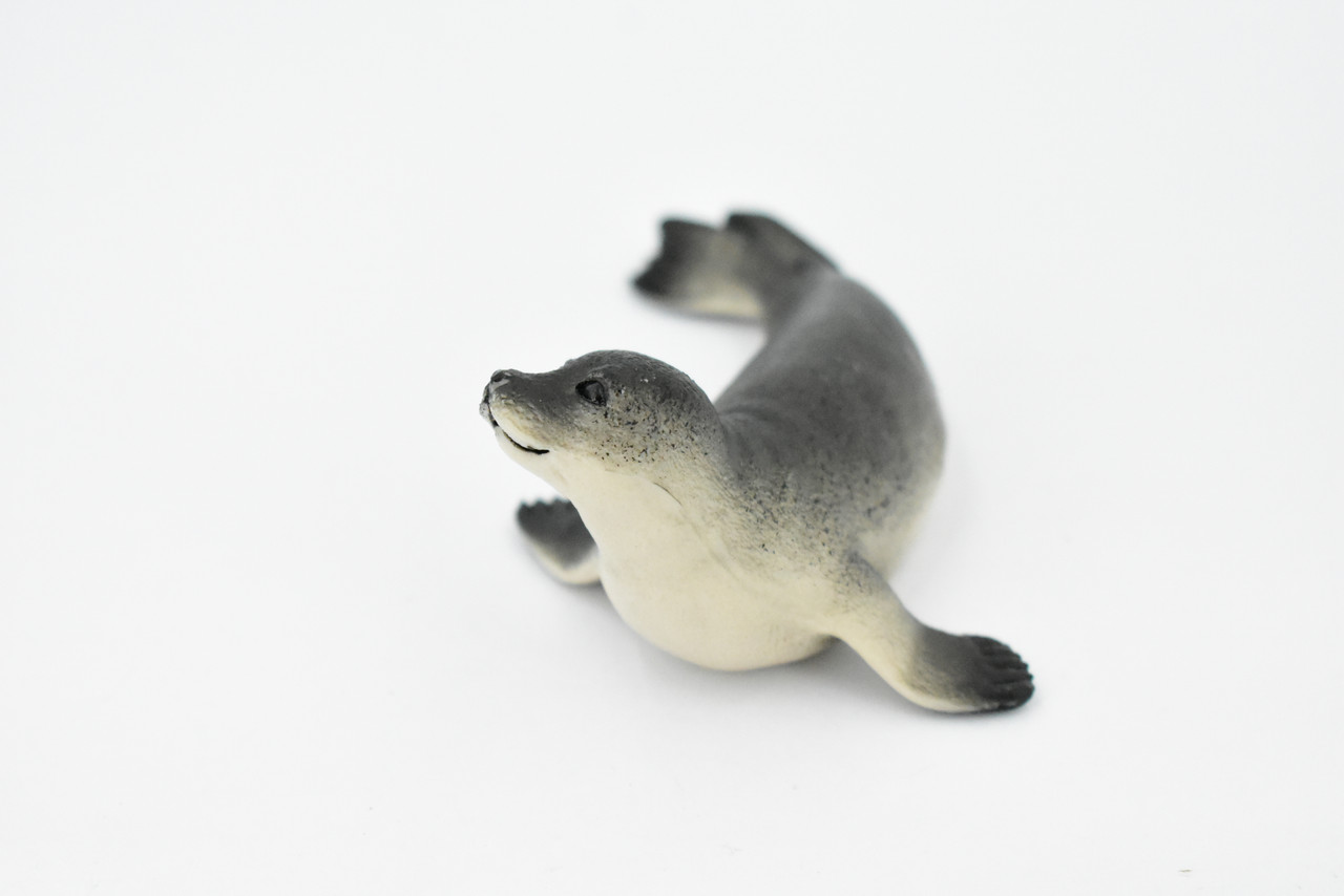 Fur Seal, Pinnipeds, Marine Mammal, Museum Quality, Hand Painted, Educational, Rubber Fish, Diorama Model, Replica, Realistic Toy Figure, Kids,  4 Inches.