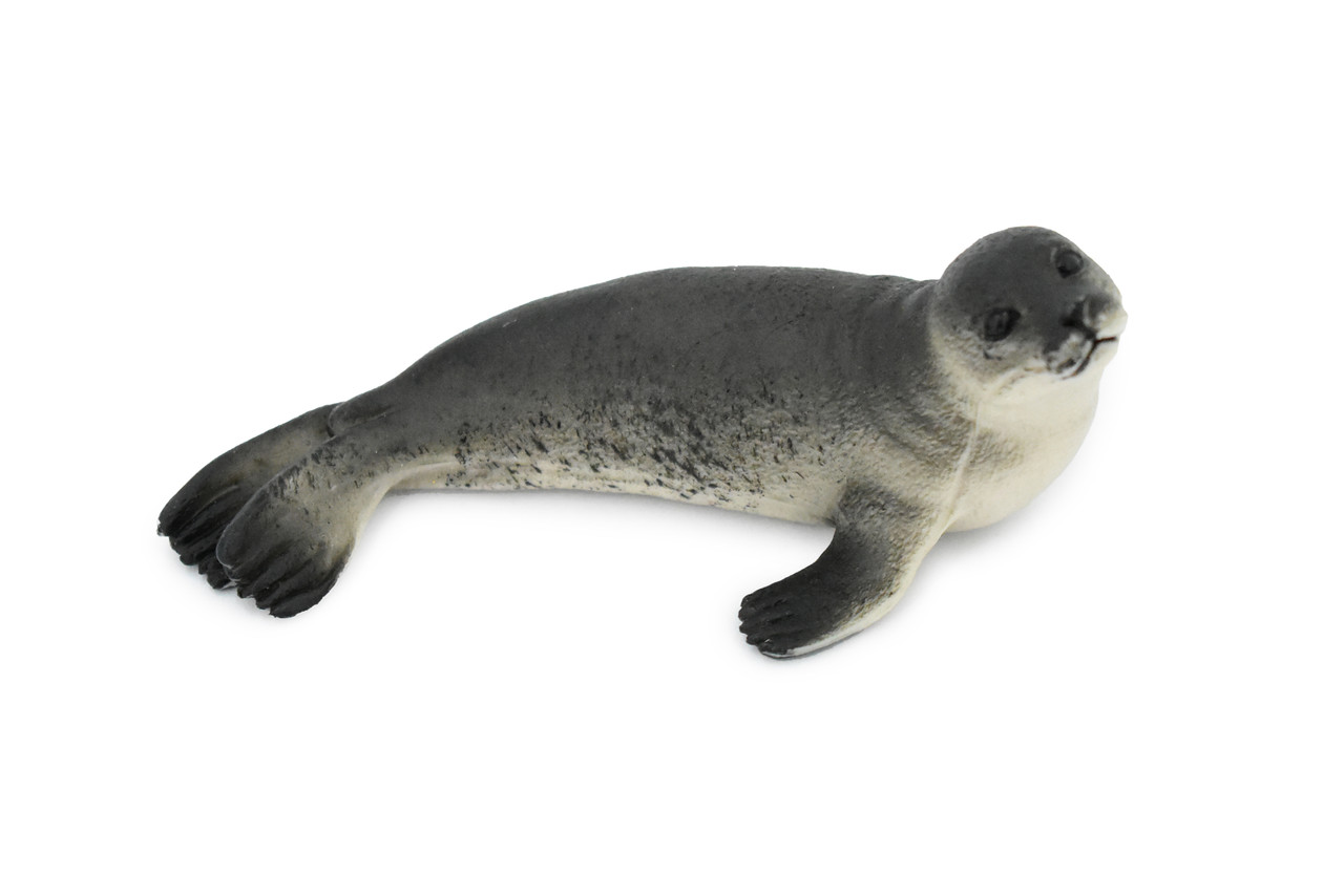 Fur Seal, Pinnipeds, Marine Mammal, Museum Quality, Hand Painted, Educational, Rubber Fish, Diorama Model, Replica, Realistic Toy Figure, Kids,  4 Inches.