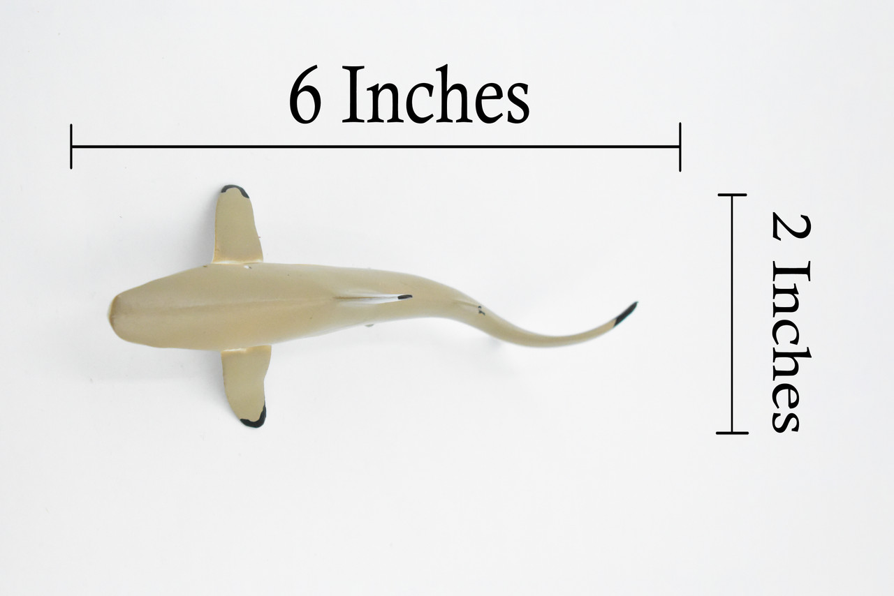 Shark, Black Tip Reef Shark, Museum Quality, Hand Painted,  Rubber Fish,  Realistic Toy Figure, Model, Replica, Kids, Educational, Gift,     7"       CH346 BB134