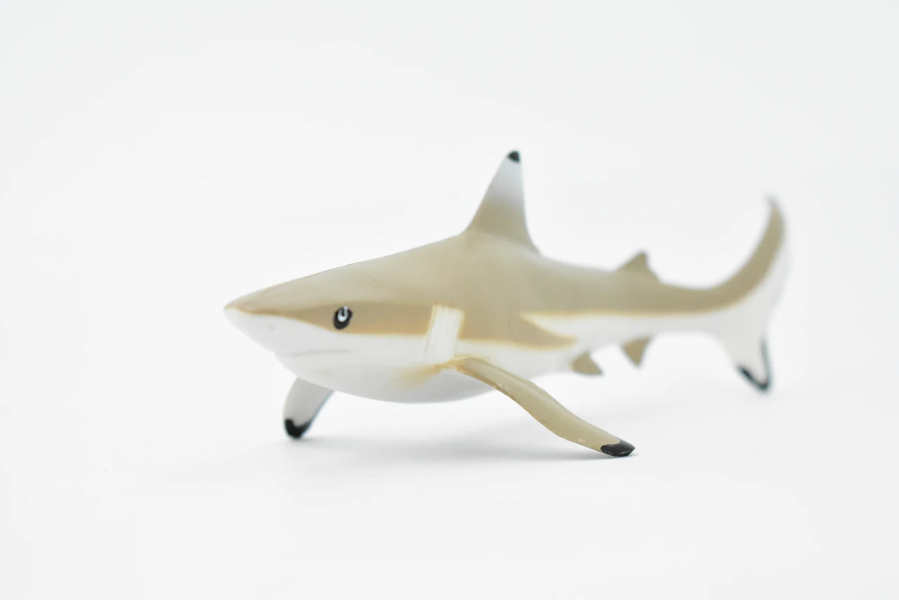 Black Tip Reef Shark, Museum Quality, Hand Painted,  Rubber Fish,  Educational, Diorama Model, Replica, Realistic Toy Figure, Kids,  6 Inches.