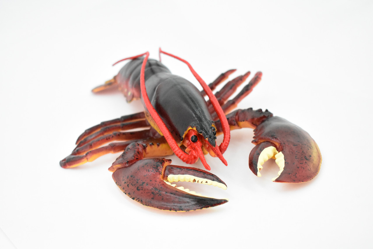 Lobster, Boston, American, Museum Quality, Rubber Crustacean, Hand Painted, Realistic Toy Figure, Model, Replica, Kids, Educational, Gift,       9"       CH347 BB135