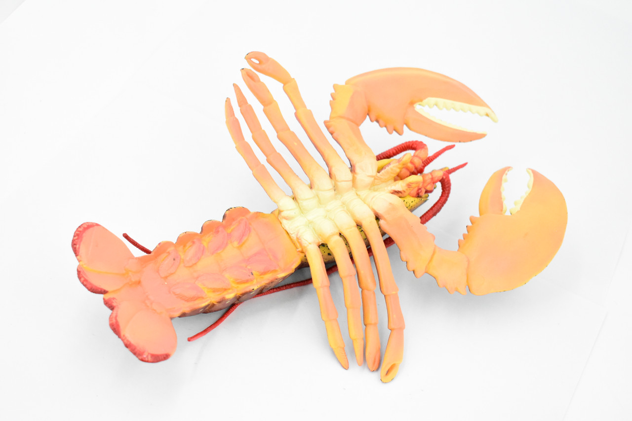 Lobster, Boston, American, Museum Quality, Rubber Crustacean, Hand Painted, Realistic Toy Figure, Model, Replica, Kids, Educational, Gift,       9"       CH347 BB135