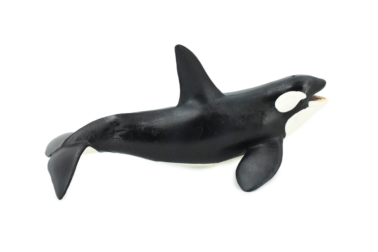 Orca, Killer Whale, Marine Mammal, Museum Quality, Hand Painted, Educational, Rubber Animal, Realistic, Diorama Model, Toy Figure, Kids, 7 1/2 Inches.