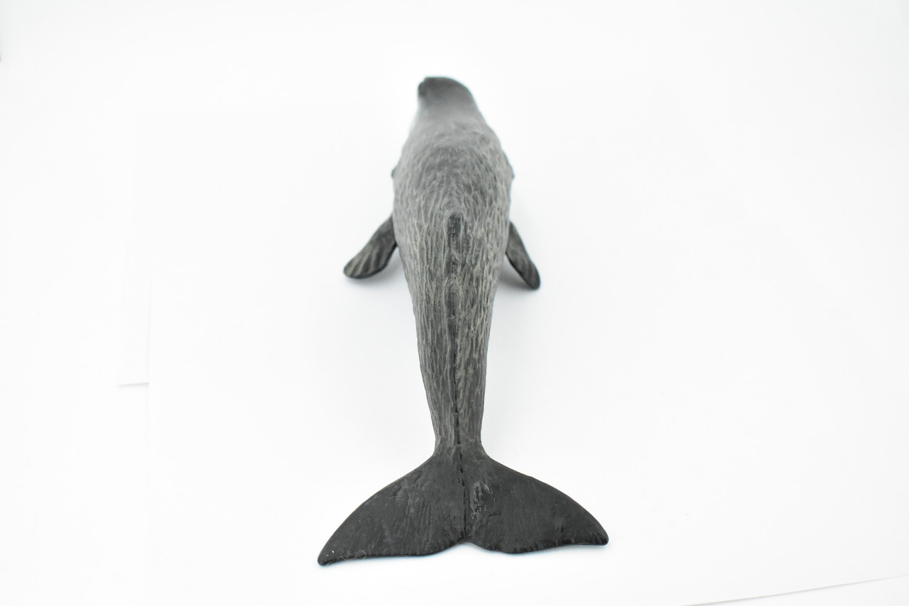 Whale, Sperm Whale, Cetacean, Marine Mammal, Museum Quality, Hand Painted, Rubber, Toy Figure, Model, Educational, Gift,       11"     CH349 BB135