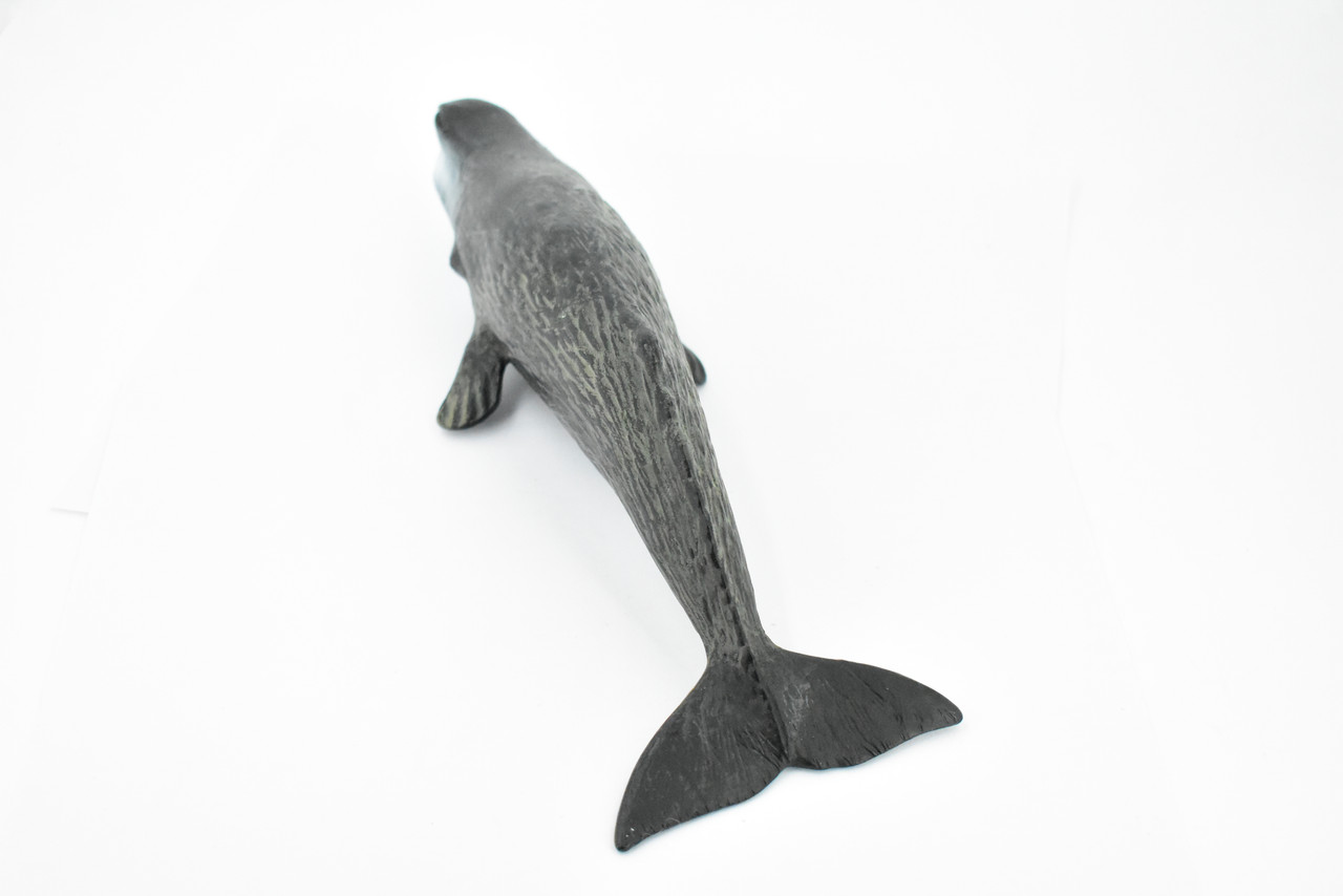 Whale, Sperm Whale, Cetacean, Marine Mammal, Museum Quality, Hand Painted, Rubber, Toy Figure, Model, Educational, Gift,       11"     CH349 BB135