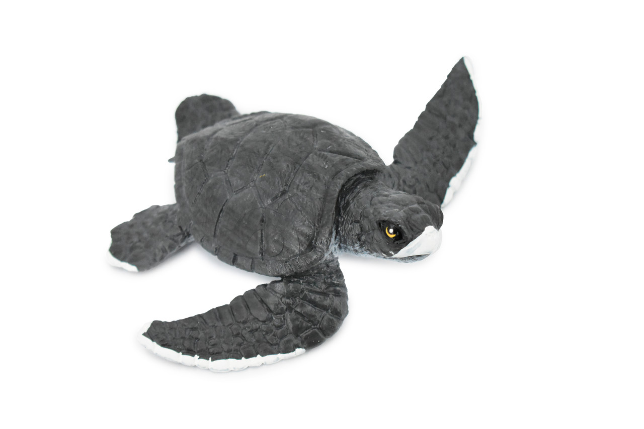 Turtle, Grey Sea Turtle, Museum Quality, Hand Painted, Rubber Reptile, Realistic Toy Figure, Model, Replica, Kids, Educational, Gift,     6"     CH350 BB136