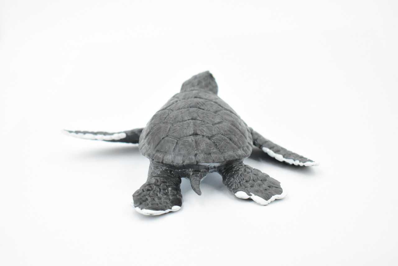 Turtle, Grey Sea Turtle, Museum Quality, Hand Painted, Rubber Reptile, Realistic Toy Figure, Model, Replica, Kids, Educational, Gift,     6"     CH350 BB136