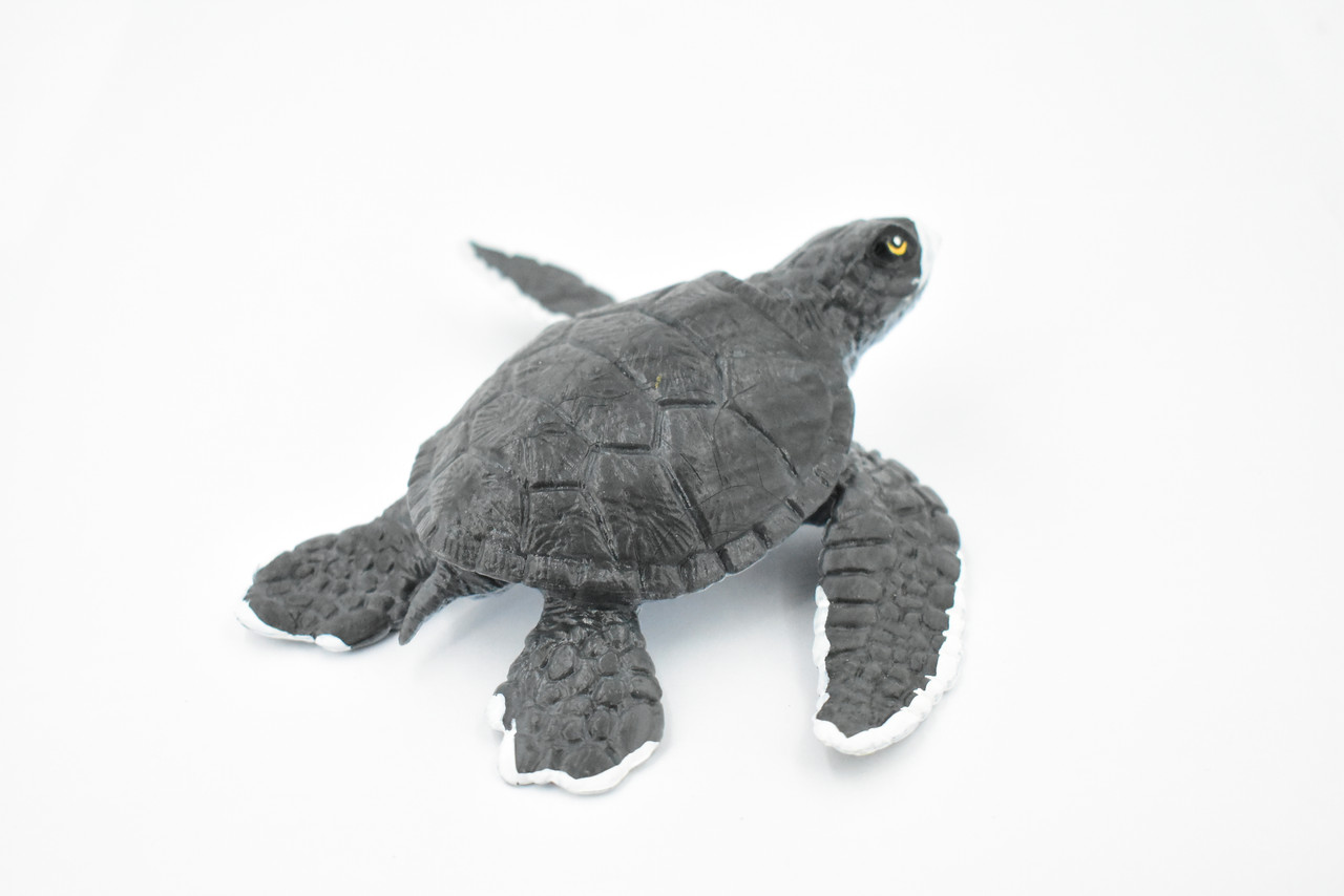Turtle, Grey Sea Turtle, Museum Quality, Hand Painted, Rubber Reptile, Realistic Toy Figure, Model, Replica, Kids, Educational, Gift,     6"     CH350 BB136