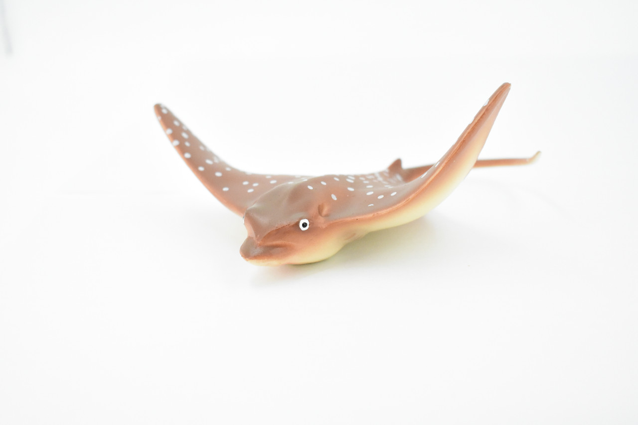 Ray, Spotted Eagle Ray, Museum Quality, Hand Painted, Rubber Fish, Realistic Toy Figure, Model, Replica, Kids, Educational, Gift,    5"           CH351 BB136