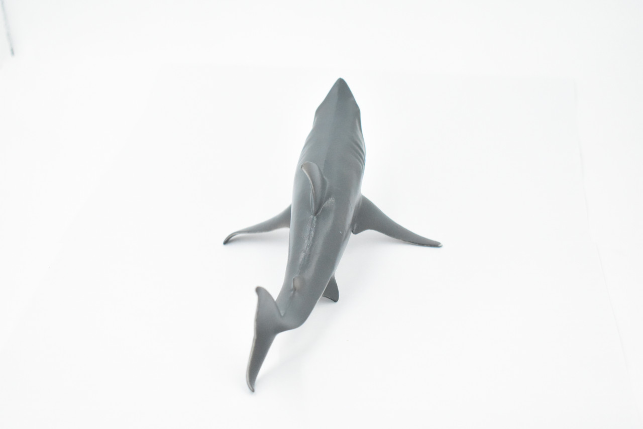 Shark, Great White, G.W. Shark, Museum Quality, Hand Painted, Rubber Fish, Realistic Toy Figure, Model, Replica, Kids, Educational, Gift,       8"      CH353 BB136