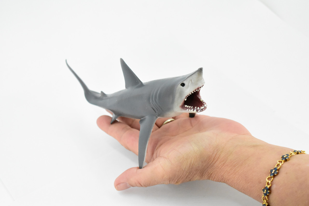 Shark, Great White, G.W. Shark, Museum Quality, Hand Painted, Rubber Fish, Realistic Toy Figure, Model, Replica, Kids, Educational, Gift,       8"      CH353 BB136