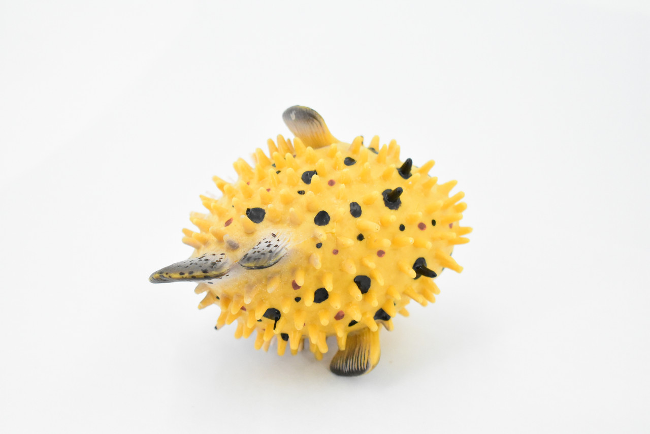 Fish, Puffer, Porcupinefish, “Puffers,” Museum Quality, Hand Painted, Rubber Fish, Realistic Toy Figure, Model, Replica, Kids, Educational, Gift,       4"      CH354 BB136