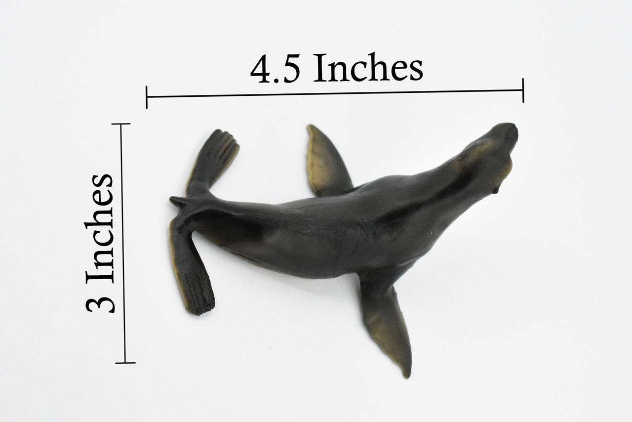 Sea Lion, Female,  Museum Quality, Hand Painted, Rubber Pinnipeds, Realistic Toy Figure, Diorama Model, Replica, Kids, Educational,  4 1/2 Inches.