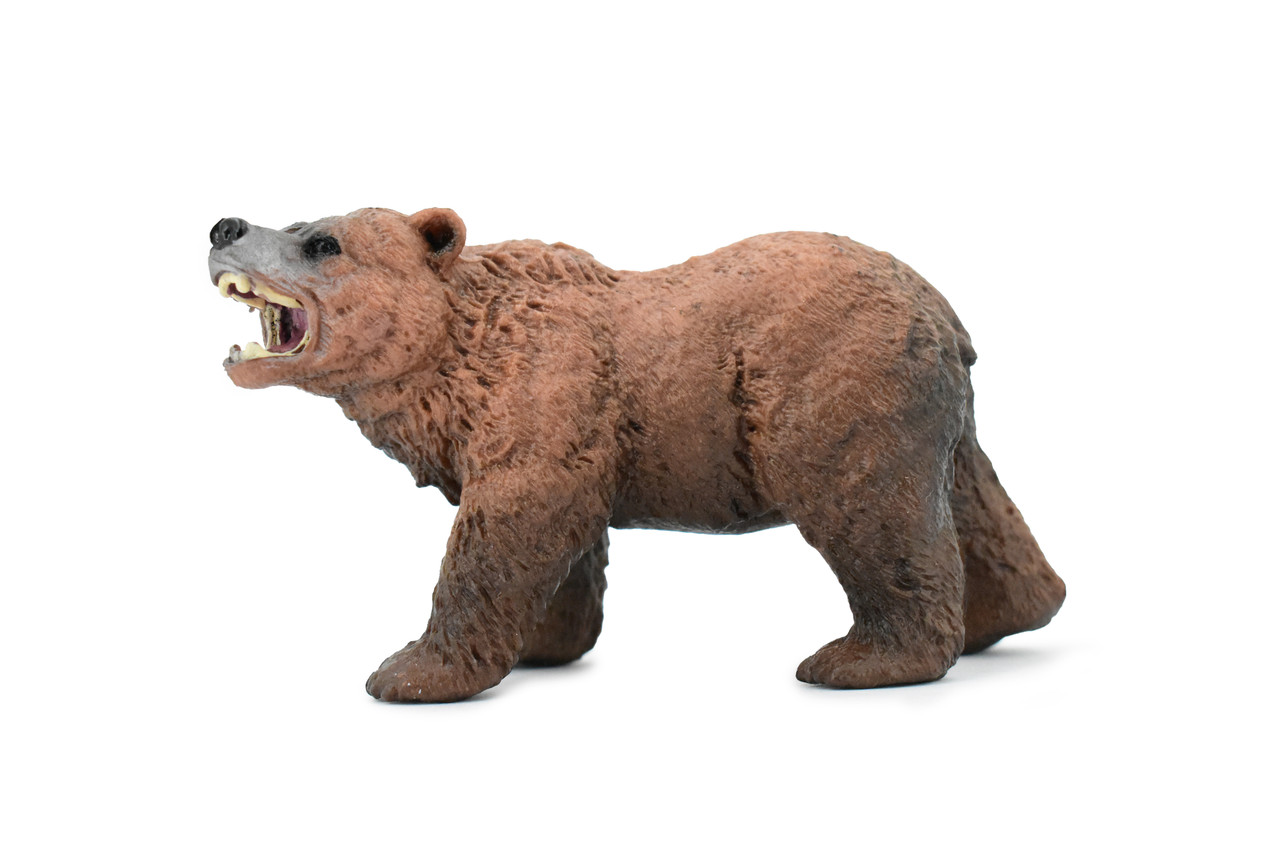 Brown Bear, Grizzly, Ursus arctos, Museum Quality, Hand Painted, Educational, Rubber Animal, Realistic Toy Figure, Diorama Model, Kids, 4 1/2 Inches.