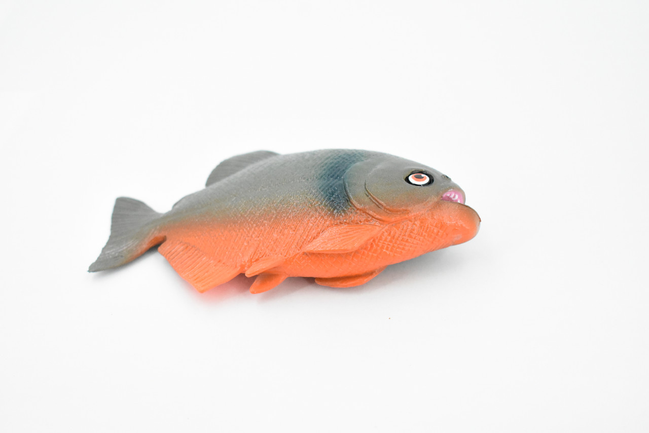 Fish, Red-Bellied Pranha, Museum Quality, Hand Painted, Rubber Fish, Realistic Toy Figure, Model, Replica, Kids, Educational, Gift,       4 1/2"     CH362 BB137