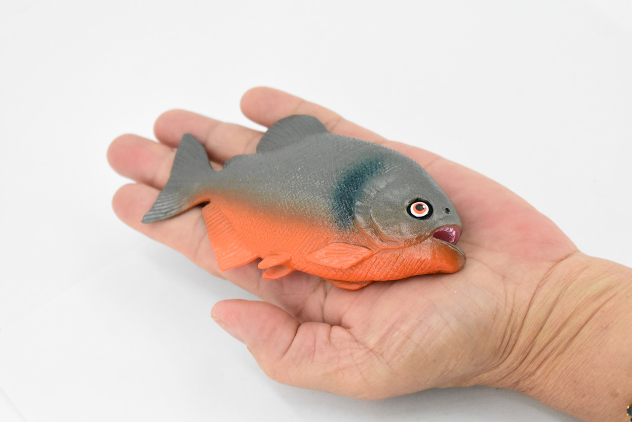 Fish, Red-Bellied Pranha, Museum Quality, Hand Painted, Rubber Fish, Realistic Toy Figure, Model, Replica, Kids, Educational, Gift,       4 1/2"     CH362 BB137
