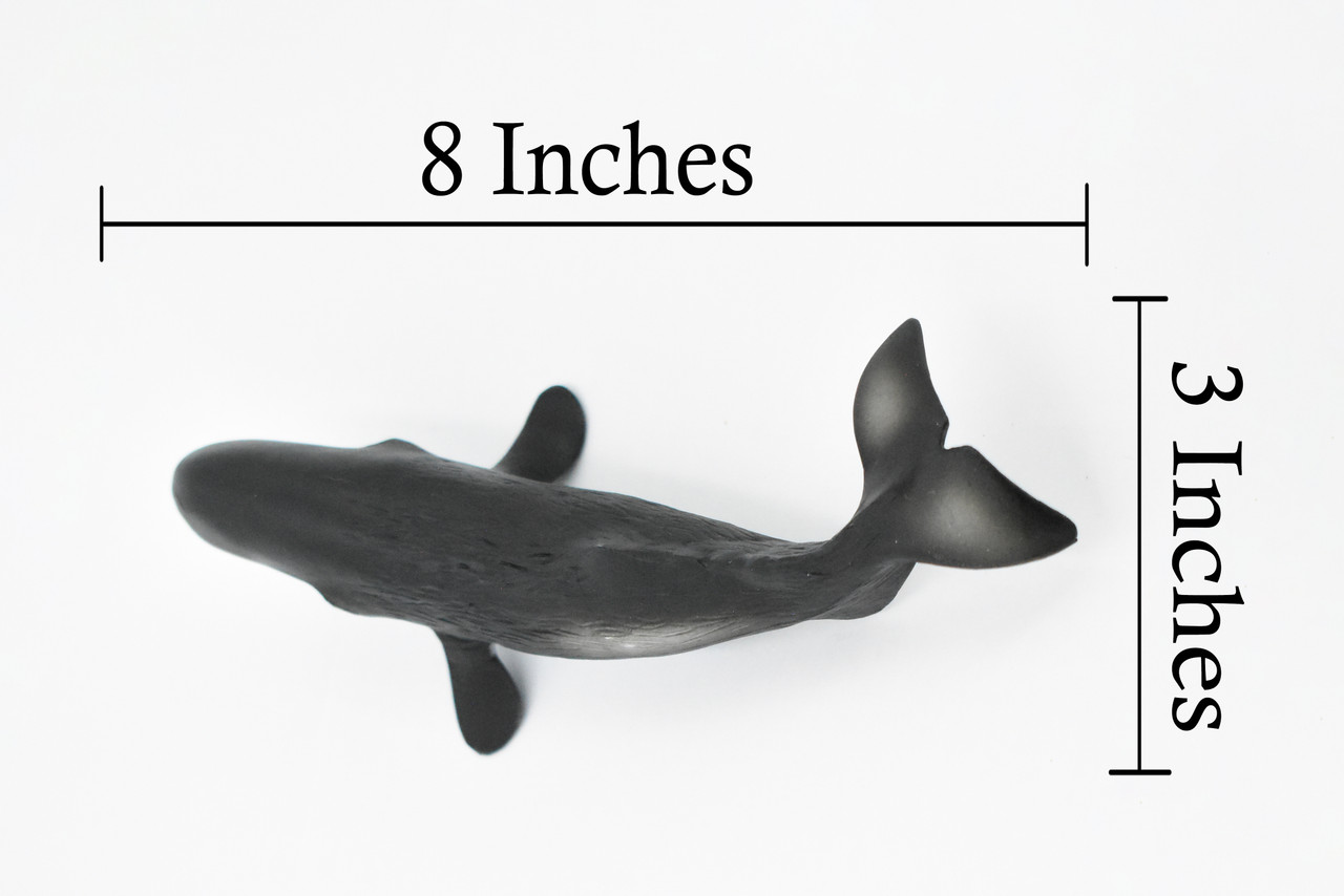 Whale, Sperm Whale, Cetacean, Marine Mammal, Museum Quality, Hand Painted, Rubber, Toy Figure, Model, Educational, Gift,      8"     CH365 BB138