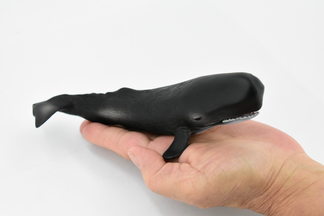 Whale, Sperm Whale, Cetacean, Marine Mammal, Museum Quality, Hand Painted, Rubber, Toy Figure, Model, Educational, Gift,      8"     CH365 BB138