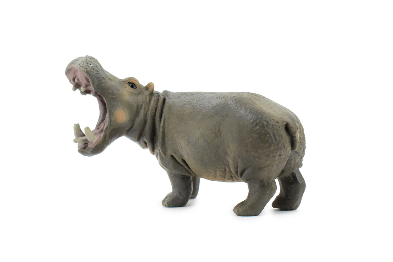 Hippo, Hippopotamus, Museum Quality, Hand Painted, Educational, Rubber Animal, Realistic Toy Figure, Diorama Model, Kids,  4 Inches.
