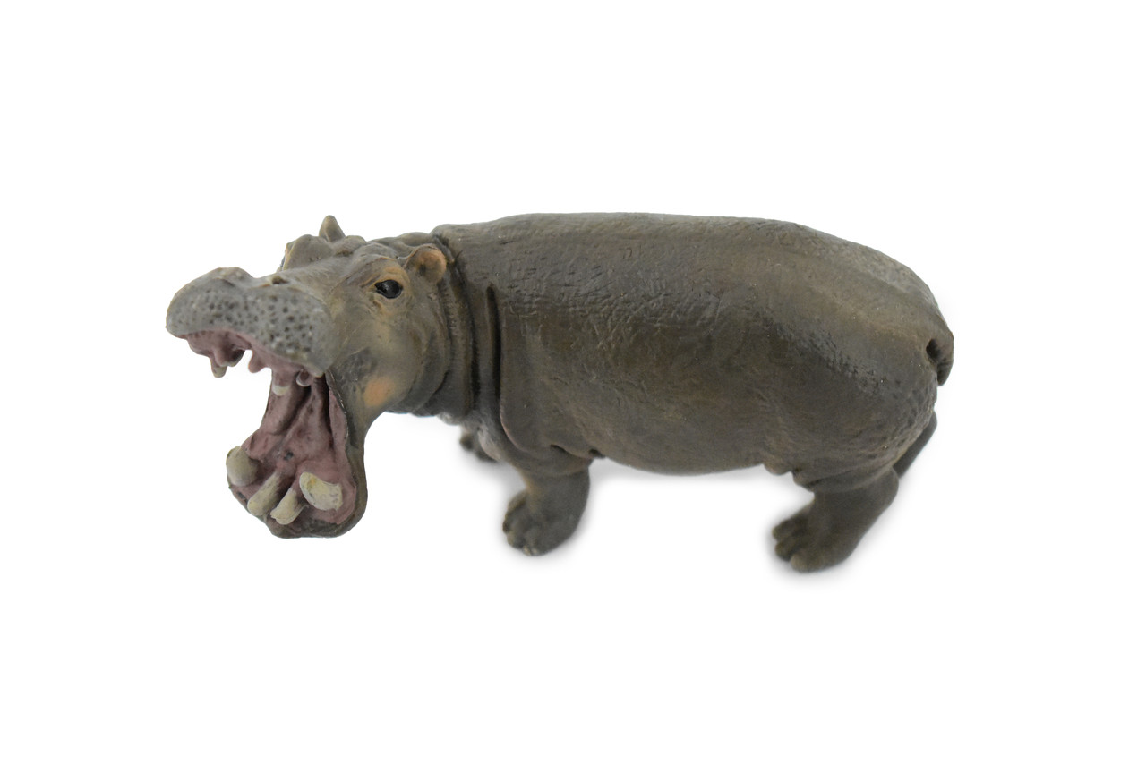 Hippo, Hippopotamus, Museum Quality, Hand Painted, Educational, Rubber Animal, Realistic Toy Figure, Diorama Model, Kids,  4 Inches.