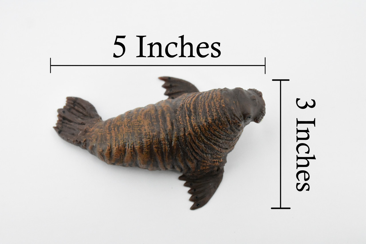 Walrus, Pinniped Marine Mammal, Museum Quality, Hand Painted, Rubber, Realistic Toy Figure, Model, Replica, Kids, Educational, Gift,        5"      CH367 BB138