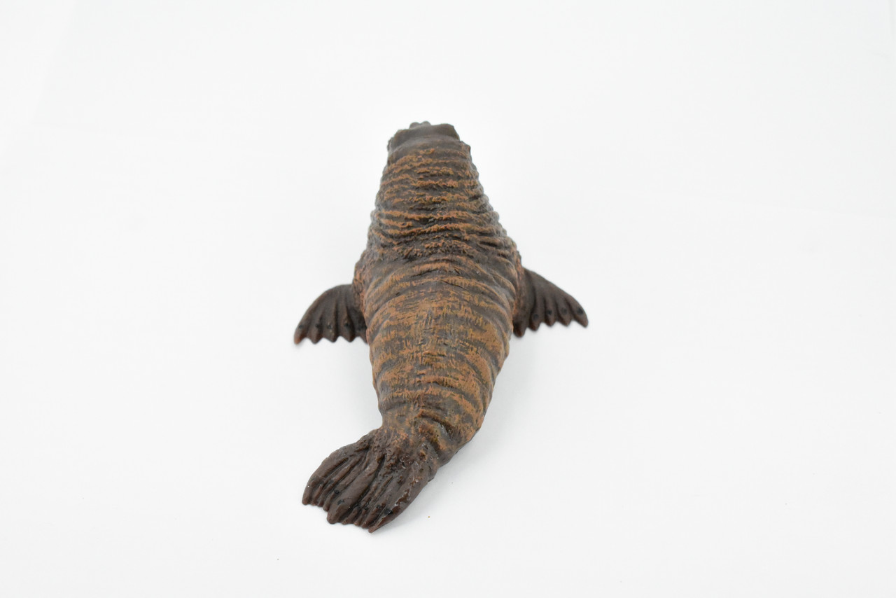 Walrus, Pinniped Marine Mammal, Museum Quality, Hand Painted, Rubber, Realistic Toy Figure, Model, Replica, Kids, Educational, Gift,        5"      CH367 BB138