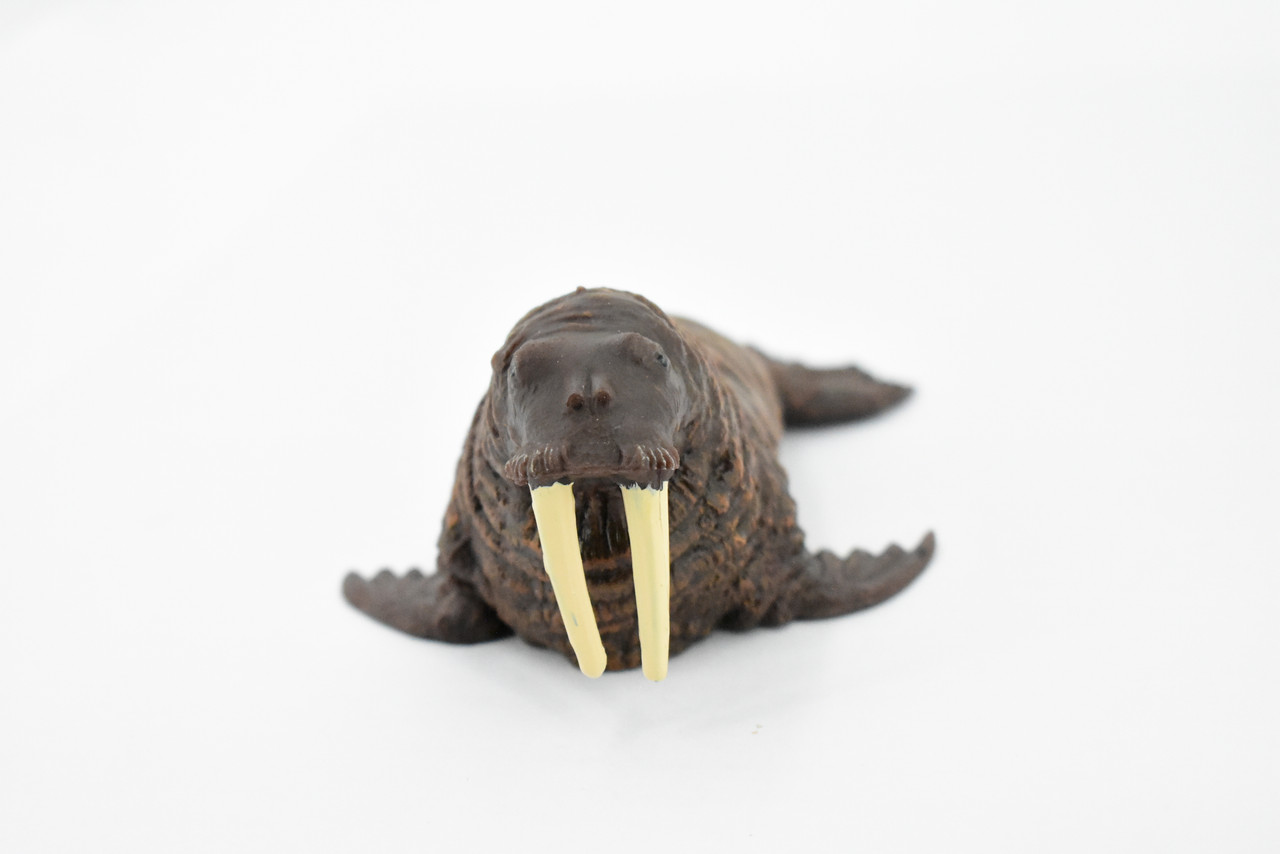 Walrus, Pinniped Marine Mammal, Museum Quality, Hand Painted, Rubber, Realistic Toy Figure, Model, Replica, Kids, Educational, Gift,        5"      CH367 BB138