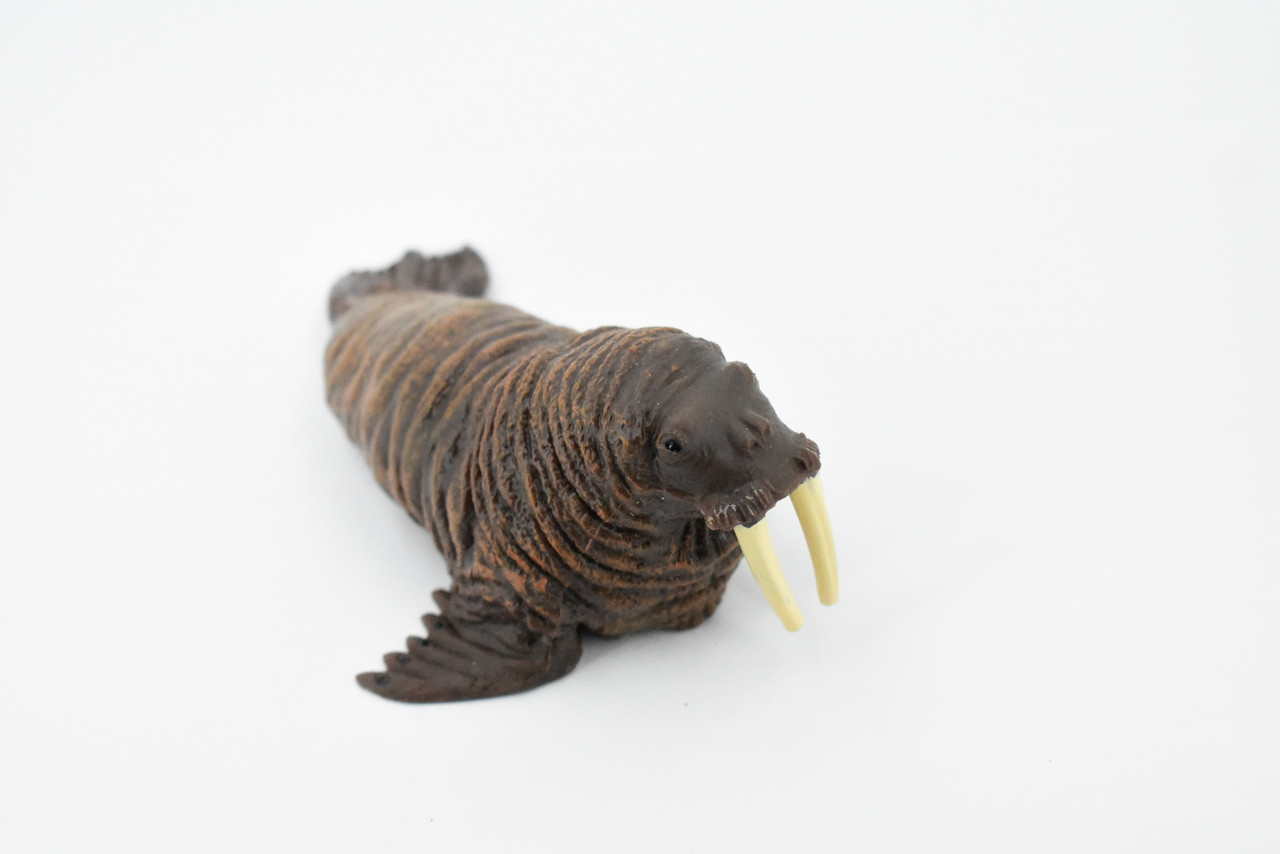 Walrus, Pinniped Marine Mammal, Museum Quality, Hand Painted, Rubber, Realistic Toy Figure, Model, Replica, Kids, Educational, Gift,        5"      CH367 BB138