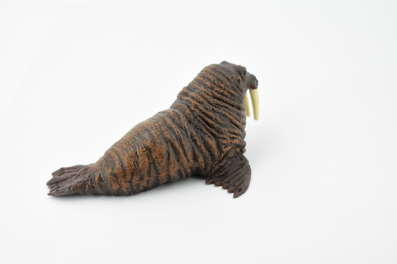 Walrus, Pinniped Marine Mammal, Museum Quality, Hand Painted, Rubber, Realistic Toy Figure, Model, Replica, Kids, Educational, Gift,        5"      CH367 BB138