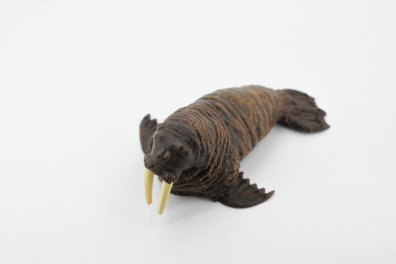 Walrus, Pinniped Marine Mammal, Museum Quality, Hand Painted, Rubber, Realistic Toy Figure, Model, Replica, Kids, Educational, Gift,        5"      CH367 BB138