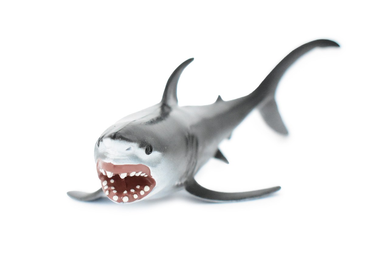 Shark, Great White, G.W. Shark, Museum Quality, Hand Painted, Rubber Fish, Realistic Toy Figure, Model, Replica, Kids, Educational, Gift,       9"      CH368 BB139