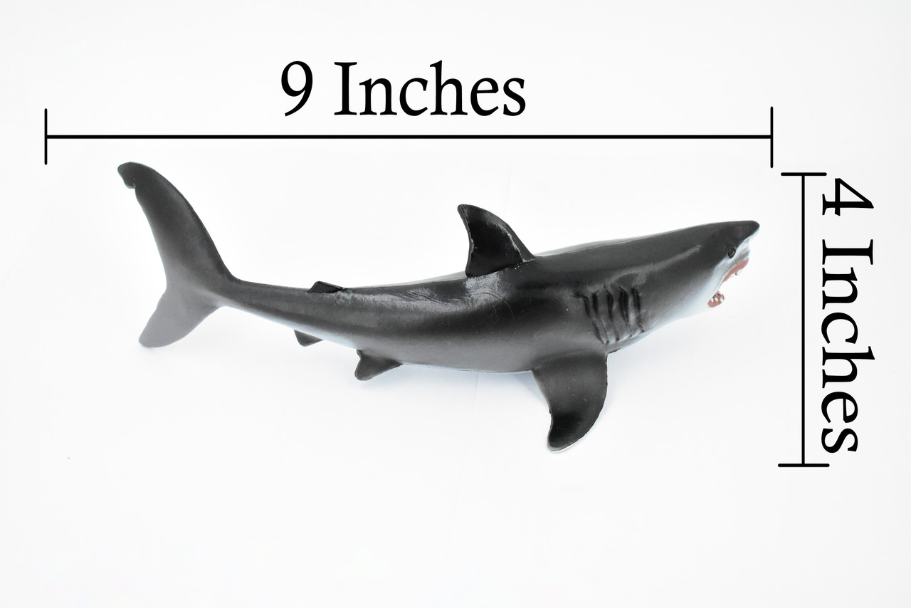 Shark, Great White, G.W. Shark, Museum Quality, Hand Painted, Rubber Fish, Realistic Toy Figure, Model, Replica, Kids, Educational, Gift,       9"      CH368 BB139