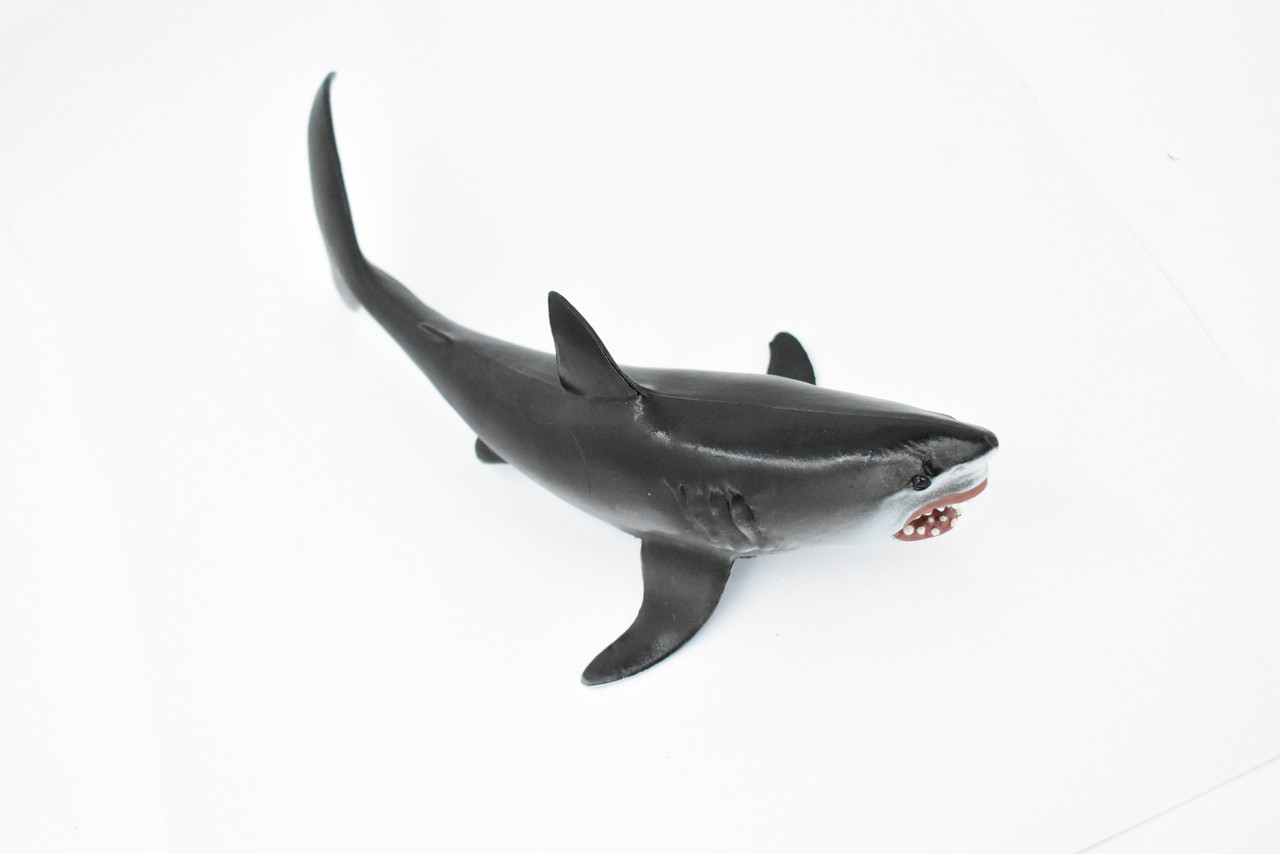 Shark, Great White, G.W. Shark, Museum Quality, Hand Painted, Rubber Fish, Realistic Toy Figure, Model, Replica, Kids, Educational, Gift,       9"      CH368 BB139