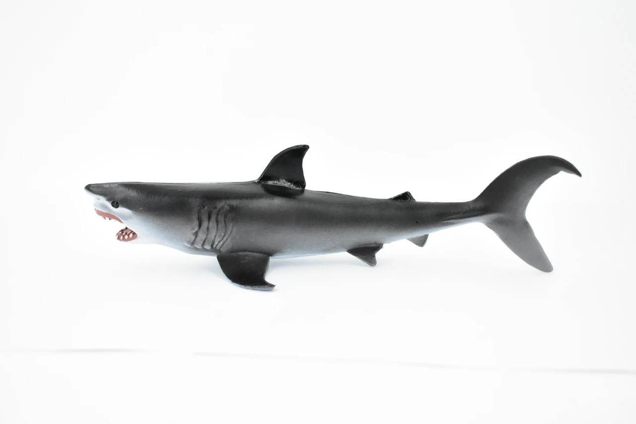 Great White, G.W. Shark, Museum Quality, Hand Painted, Educational, Rubber Fish, Diorama Model, Replica, Realistic Toy Figure, Kids, 9 Inches. 