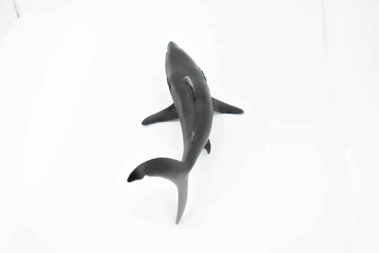 Great White, G.W. Shark, Museum Quality, Hand Painted, Educational, Rubber Fish, Diorama Model, Replica, Realistic Toy Figure, Kids, 9 Inches. 