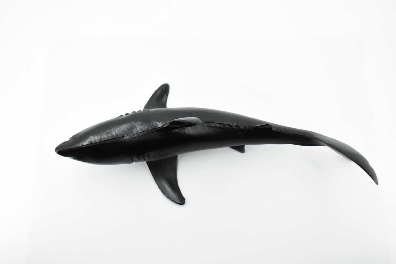Shark, Great White, G.W. Shark, Museum Quality, Hand Painted, Rubber Fish, Realistic Toy Figure, Model, Replica, Kids, Educational, Gift,       9"      CH368 BB139