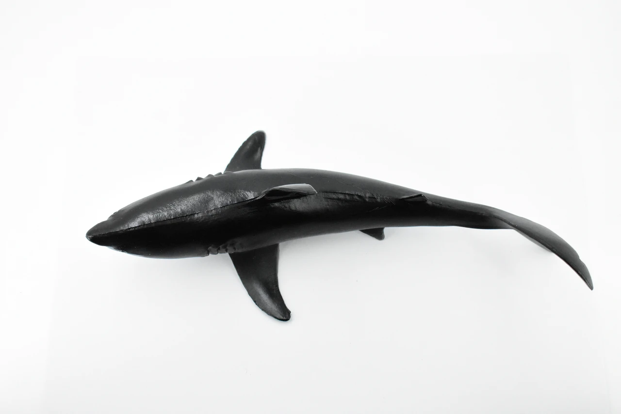 Great White, G.W. Shark, Museum Quality, Hand Painted, Educational, Rubber Fish, Diorama Model, Replica, Realistic Toy Figure, Kids, 9 Inches. 