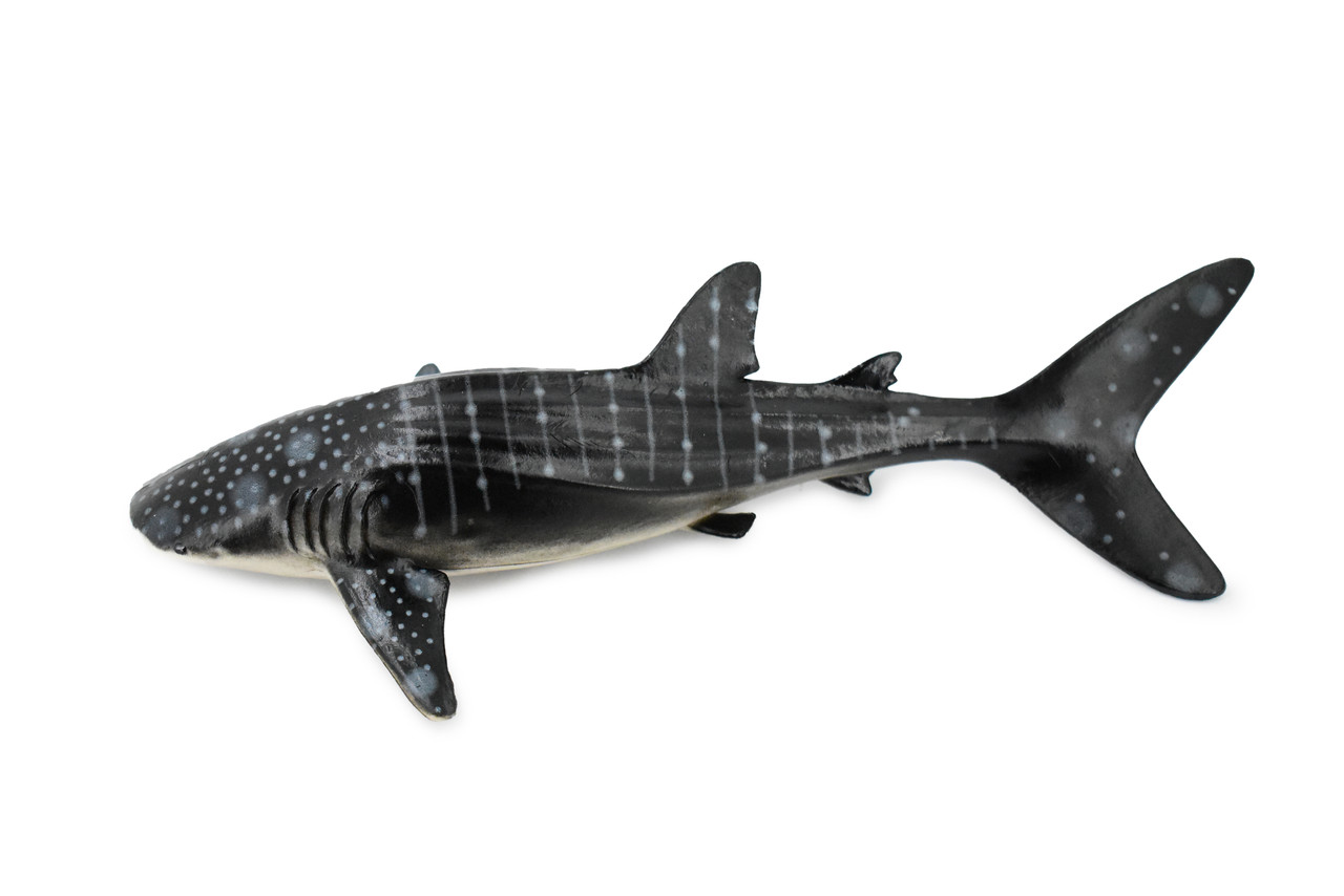 Whale Shark, Museum Quality, Hand Painted, Rubber Fish, Educational, Realistic Hand Painted Figure, Lifelike Figurine, Replica, Gift,      9"      CH369 BB139