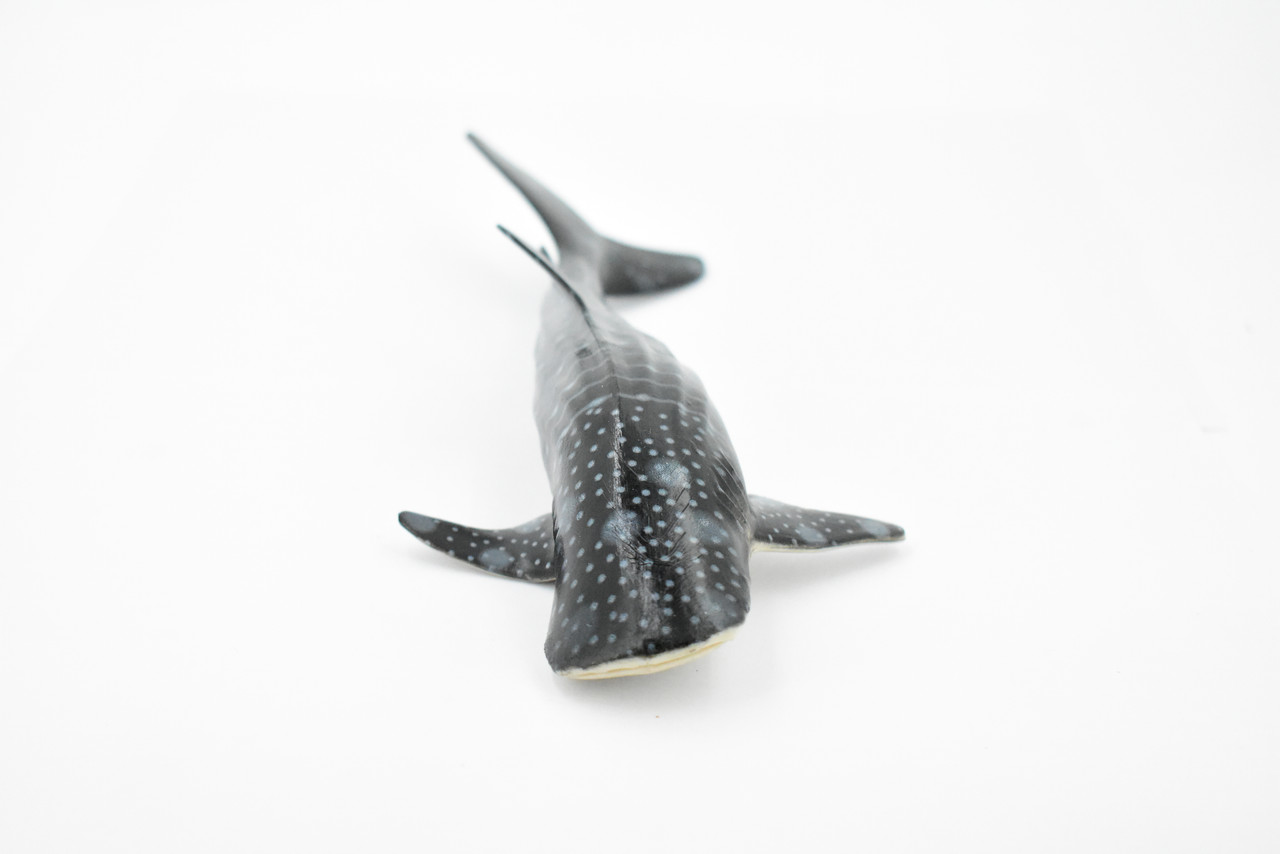 Whale Shark, Museum Quality, Hand Painted, Rubber Fish, Educational, Realistic Hand Painted Figure, Lifelike Figurine, Replica, Gift,      9"      CH369 BB139