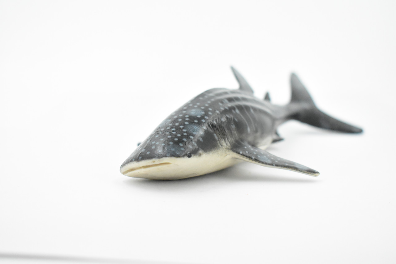 Whale Shark, Museum Quality, Hand Painted, Rubber Fish, Educational, Realistic Hand Painted Figure, Lifelike Figurine, Replica, Gift,      9"      CH369 BB139