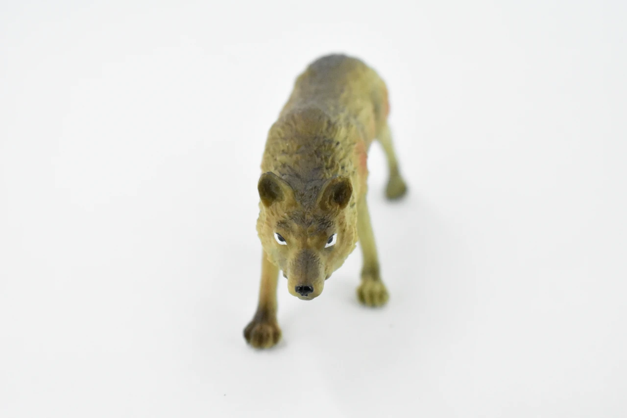 Wolf, Brown Timber Wolf, Museum Quality, Hand Painted, Rubber Animal, Educational, Realistic, Figure, Lifelike Figurine, Replica,  4 Inches. 